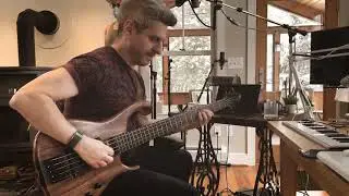 Mike Gordon Bass Track on Robert Walter 