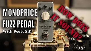 MONOPRICE Fuzz Pedal - How Does It Sound? -  With Scott Sill