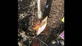 Burning Pok&eacute;mon card in Slow motion