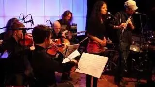 AUTHENTIC LIGHT ORCHESTRA - Live at Mehrspur Zurich