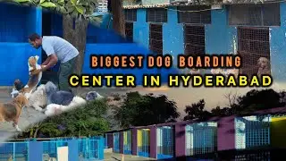 Big Dog Training/Boarding School in Hyderabad, Telangana