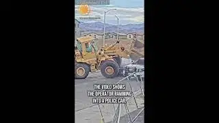 Emus Are No Joke, TikTok Gets Worse & AI Has ZERO Filter