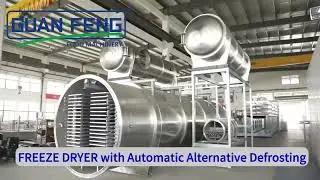 Vacuum Lyophilizer Freeze-drying Machine equipment factory made in china price cheap
