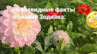 Неочевидные факты о знаках Зодиака / 20539 Знаки Зодиака  Гороскоп
