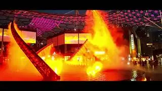 City walk Dubai Cinematic Video