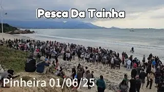Pesca da tainha Pinheira Palhoça SC 01/06/25