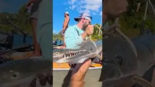 Использование крупной наживки для ловли КРУПНОЙ рыбы