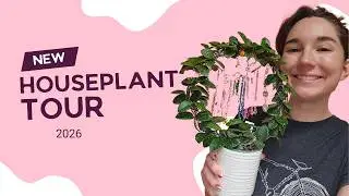 A Realistic Houseplant Tour | What My Plants Actually Look Like 400+ plants