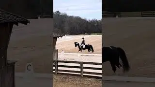 Training 3 at SESSC