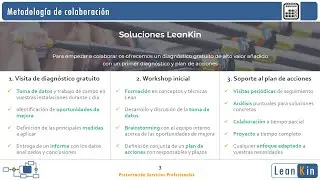 LeanKin. Servicios profesionales