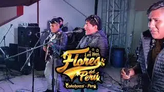 MIS CUERNOS en vivo - 