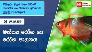 මත්ස්‍යය රෝග හා රෝග පාලනය