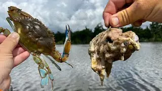 This Unusual CRAB Bait Works Better than CHICKEN