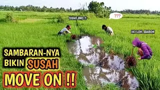 SAMBARAN BELUT INI,SUNGGUH BIKIN SUSAH MOVE ON !!