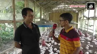 Poultry Farming in Bangladesh For Beginners | Murger Kamar Folty Farm
