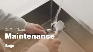 The Barista Touch&trade; | Everyday cleaning guide: the portafilter and filter basket | Sage Appliances UK