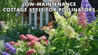 🌷 Simple Cottage Garden Tips for Bees & Butterflies | Easy & Beautiful! 🦋🐝