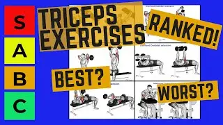 Triceps Exercises  Tier List: Ranking from Best to Worst !