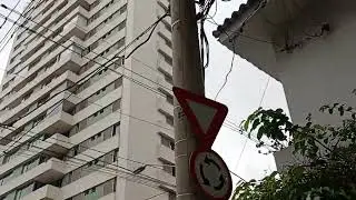 Alegria e tranquilidade pelas ruas da...