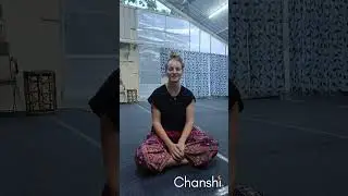 Real Experiences 2 | Chanshi Meditation Workshops | Testimonials for Chanshi Workshops 2