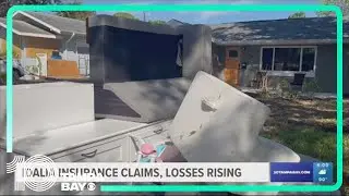 Idalia insurance claims, estimated loss surpasses $175M