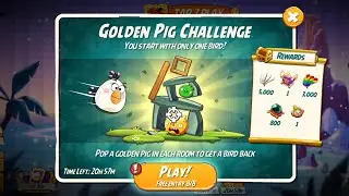 Angry birds 2 golden pig challenge today 