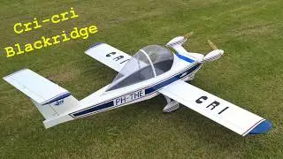 Cri-cri RC plane crashes on takeoff
