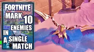 Mark 10 Enemies in a Single Match - Fortnite