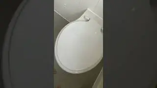 Broken toilet