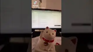 А можно вы нам сегодня не будете домашнее задание задавать? #ВОВА