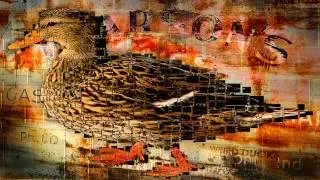 Mikael Pfeiffer - Duck Digital (Michael Schwarz Remix)