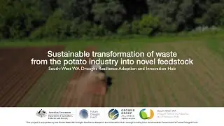 Sustainable transformation of waste from the potato industry into novel feedstock