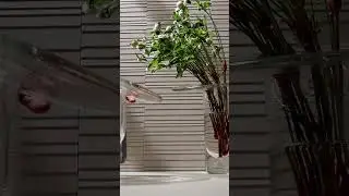 Conhe&ccedil;a Peak, mais um lan&ccedil;amento Portobello Shop