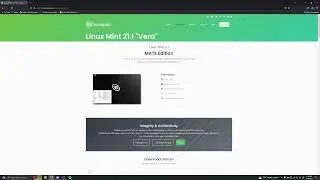 How Torrenting Works