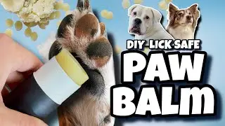 Save Your Dog&rsquo;s Paws with These 5 Ingredients! | Easy Recipe for Dogs