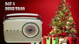 Christmas LIVE Day 4. Bush TR82