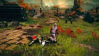 Elden Ring - Astrologer vs Gatefront Ruins