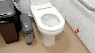 Toilet in the Armonry Peace Gardens Battle 🚻🚼♿️