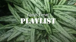 Chinese Evergreen: The Secret Music for Deep Focus
