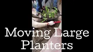 How to Move Big Planters (or other large objects) - using the pot lifter