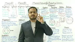 Meiosis Explained in 15 Minutes 02 | Complete Coverage NCERT l NEET 2026 & Boards l #neet2026 #neet 