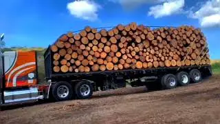 Camiones troseros un trabajo dif&iacute;cil en tiempo de lluvia. #truck