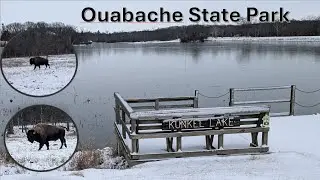 Solo Hiking Ouabache State Park (Join Me On The Adventure of Finding the Bison)