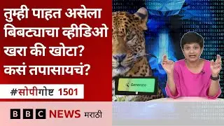 Is the viral video of tiger, leopard real or fake? How to check? | BBC News Marathi
