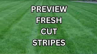 Freshly Cut Grass Spring Lawn Care - Subscribe and Like for more Lawn Care Videos to come!