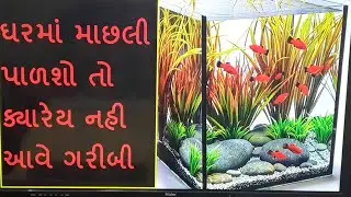The house where there is an aquarium, happiness and prosperity always reside there - Benefits Of Aquarium