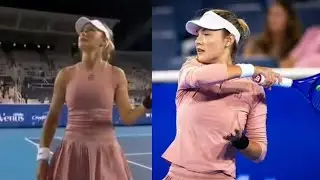 Cincinnati Open Drama: Umpire Confronts &lsquo;Drunk&rsquo; Fan as Player Calls for Security