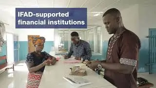 In Brief: Rural banking in Sierra Leone aids in recovery from epidemic crises