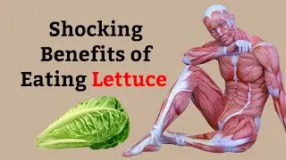 The Incredible Body Benefits of Eating Lettuce Daily