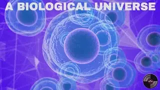BIOLOGICAL UNIVERSE - Music by The Monkey trap
